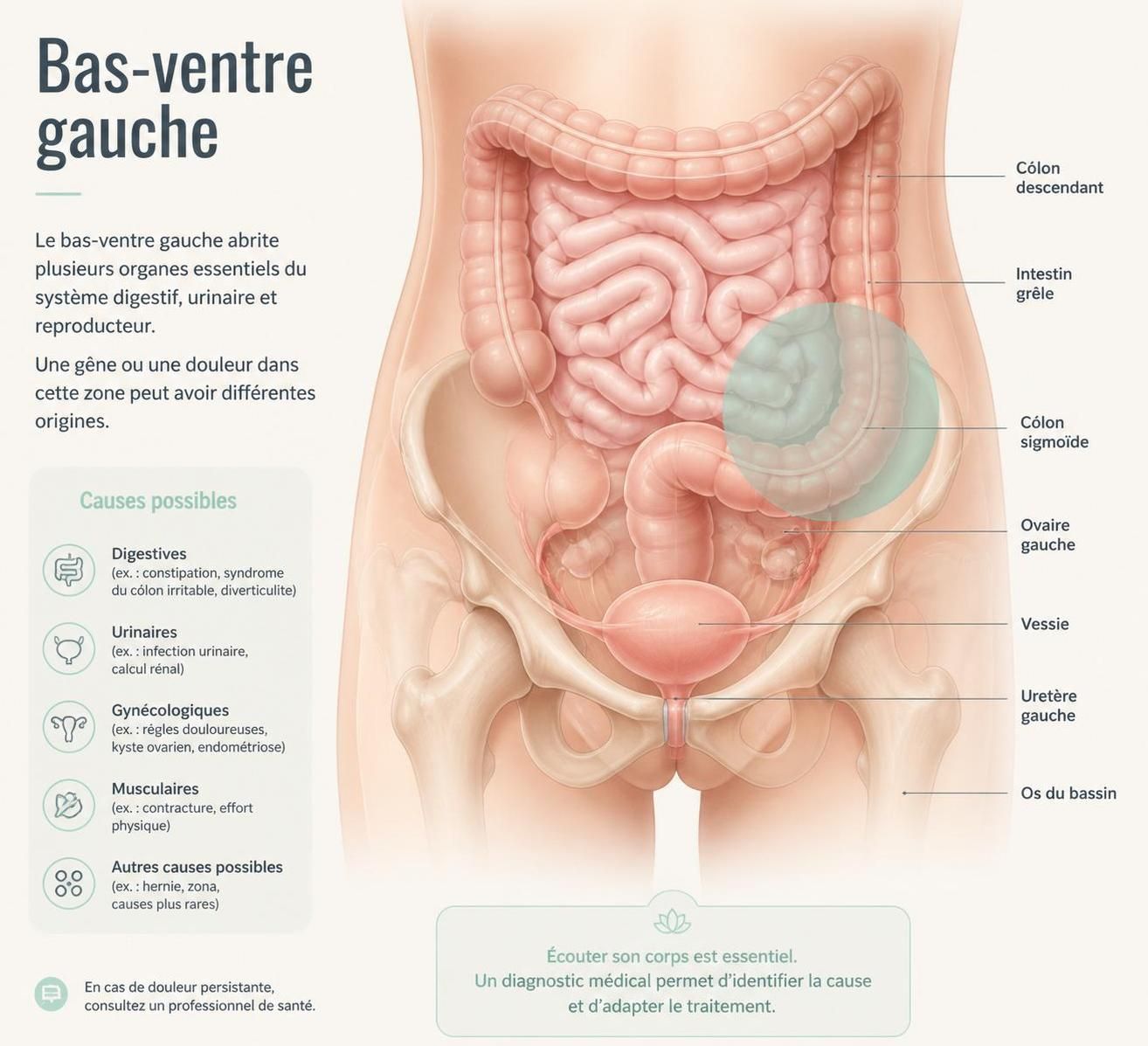 découvrez les principales causes de la douleur au bas du ventre gauche et les examens à effectuer rapidement pour un diagnostic précis et un traitement adapté.